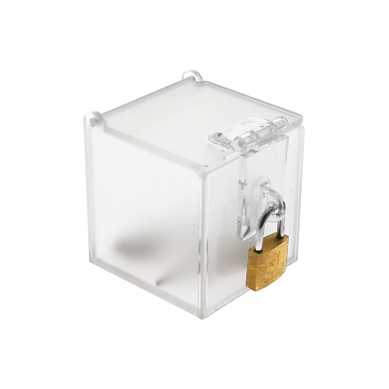 Chastity Cage Key Storage Box  - Game Storage Box review and price