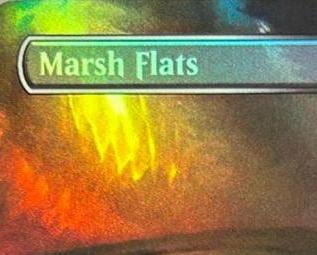 Foil Arid Mesa Marsh Flats Mis - Board Game Verdant review and price